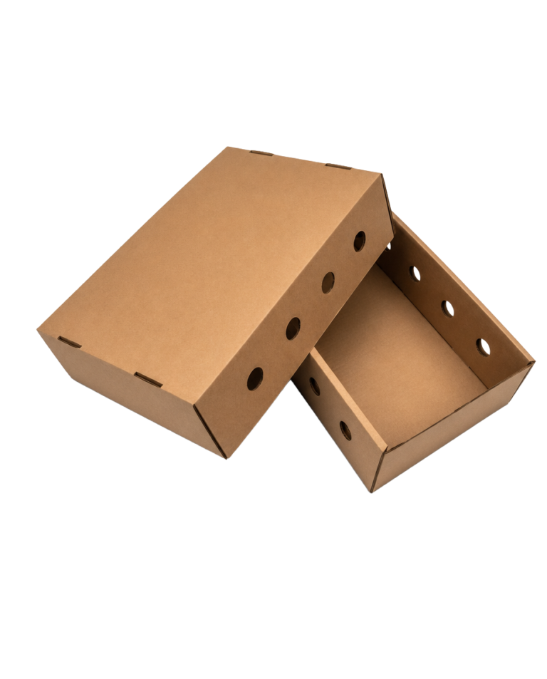Caixas de Papelão para Frigorífico-Gold Pack Embalagem 3